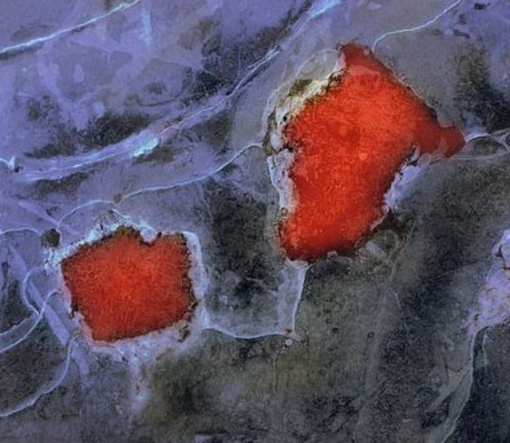 Image 1 of When the reds will meet!