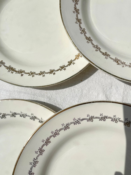 6 Platos DIGOIN SUZY de Porcelana Opaca – Loza (photo 4 of 10)