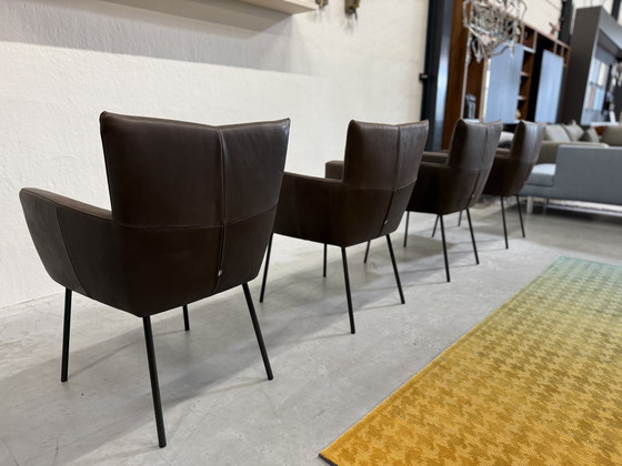 Image 1 of 4 Design on Stock Sedie da pranzo Moka in pelle Cabo Marron