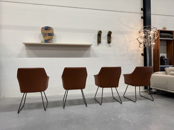 Image 1 of 4 Leolux Mara Dining Chairs Wapiti Hawk leather