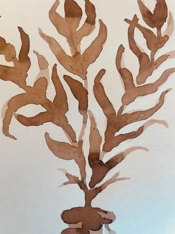 Image 1 of Painting, monochrome sepia still life "dried flowers", signed