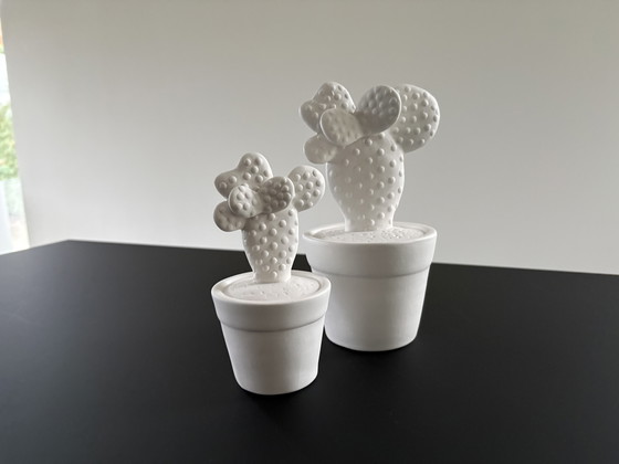 Image 1 of Set of two cacti, rough ceramic