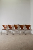 Lot de 5 Chaises Série 7, Arne Jacobsen pour Fritz Hansen, 1960–70