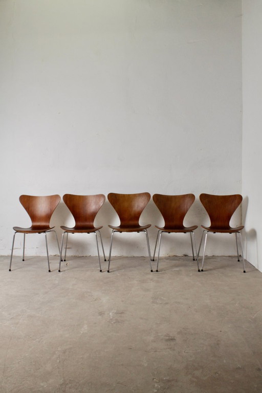 Juego de 5 sillas Serie 7, Arne Jacobsen para Fritz Hansen, 1960-1970.