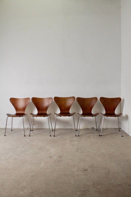 Image 1 of Juego de 5 sillas Serie 7, Arne Jacobsen para Fritz Hansen, 1960-1970.