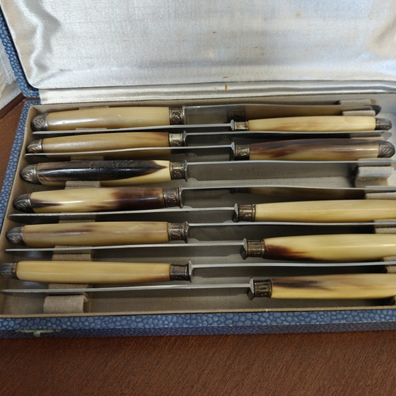 Vintage set van 11 dessertmessen met hoornen handvat – Originele presentatiekoffer – Frans roestvrij staal (photo 2 of 11)