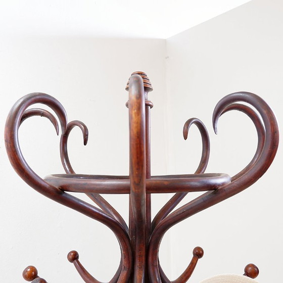 Image 1 of Grote kapstok van gebogen hout in de stijl van een papegaai, in de Thonet-uitvoering – begin 20e eeuw