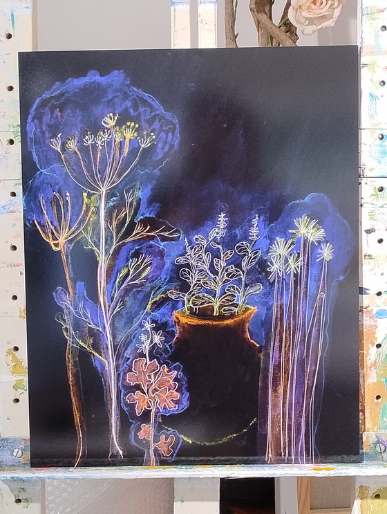 Image 1 of Jardin nocturne