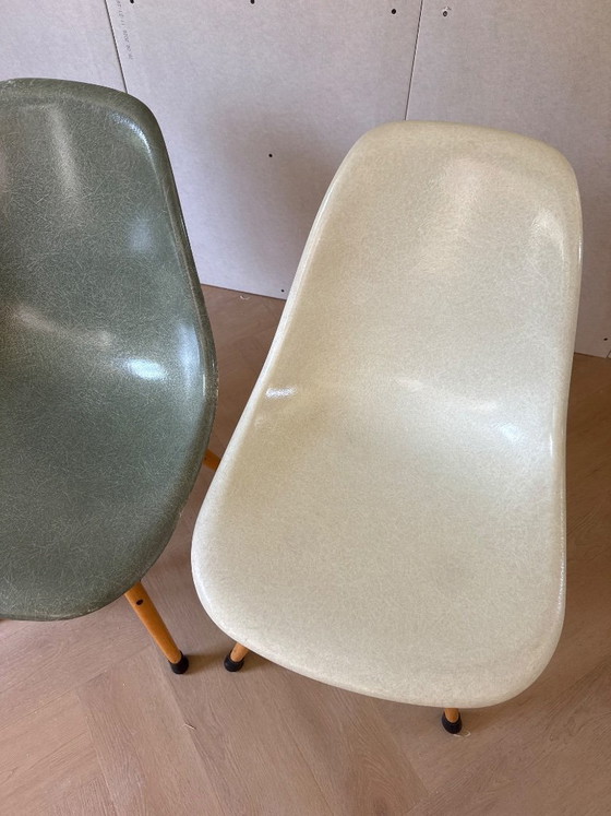Sedia Eames in fibra di vetro Modernica Los Angeles Sedie da pranzo – Vitra, Wood, Plastic (photo 3 of 8)
