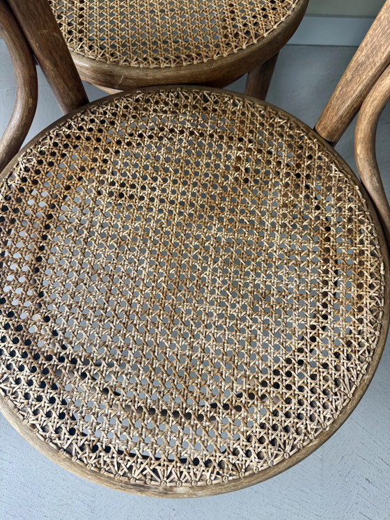 Image 1 of Antique Thonet chairs, 4 pieces