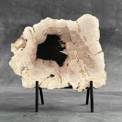 Madera fosilizada de Sooka, soporte hecho a medida (nuevo)