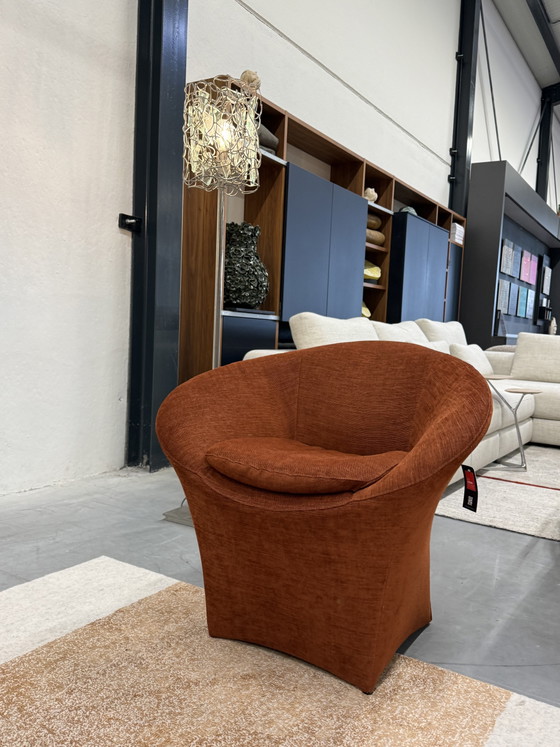 Image 1 of Label van den Berg Fauteuil Ace Terra