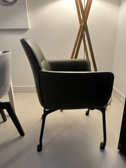 4 sedie Leolux Gyon Tour