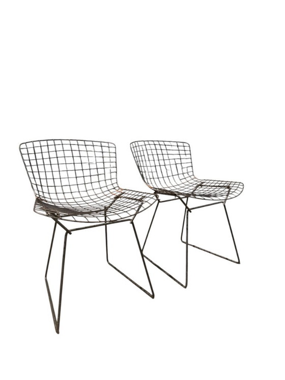 Image 1 of Ensemble authentique de 4 chaises Harry Bertoia Wire pour Knoll - Acier et coussins d'origine