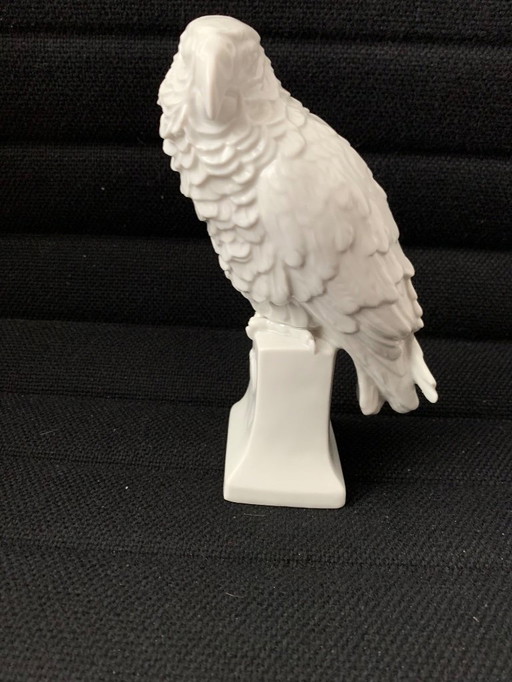 Parrot of Rosenthal