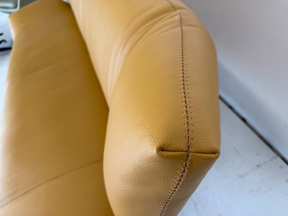 Leolux Tango Divano in Pelle Design Classico – Divani, Metallo (photo 10 of 17)
