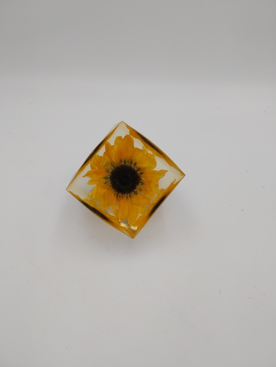 Image 1 of Deux compositions florales dans des blocs de résine époxy. Rose et tournesol, 10 x 10 x 10 cm.