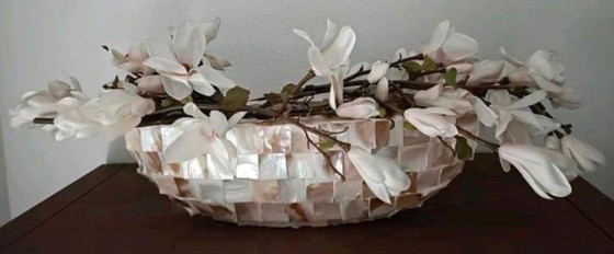 Image 1 of 1 jarrón de concha ovalada y 2 jarrones de concha de nácar con cuencos rotos