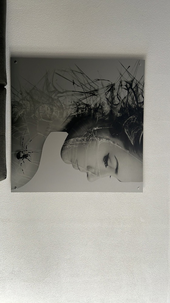 Dipinto su alluminio spazzolato raffigurante una donna con una ragnatela. – Decorazioni murali, Aluminium (photo 4 of 5)