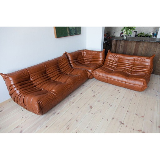 Togo vintage living room set in brown leather by Michel Ducaroy for Ligne Roset, France 1970