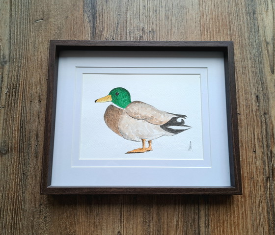 Originalgemälde „Ente und Erpel“ | Inklusive Rahmen – Gemälde & Zeichnungen, Paper (photo 4 of 5)
