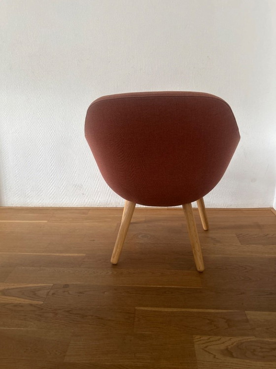 ANGUILLA DI FIENO – HAY, Poltrone, Textile, Wood (photo 3 of 5)