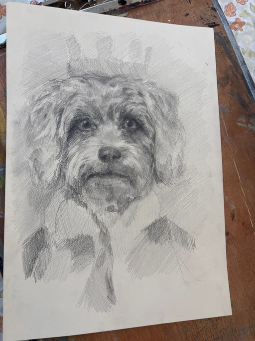 Royal Dog Charcoal Drawing – schilderijen tekeningen, Paper (photo 2 of 5)