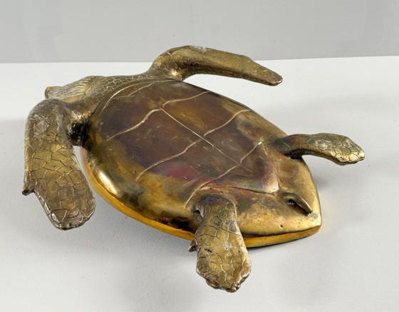 Image 1 of Hollywood Regency, scultura di tartaruga in ottone/scatola/tartaruga a becco di civetta, Francia, anni '70