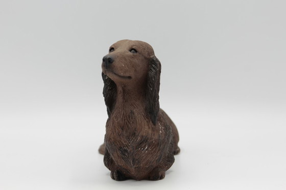 Image 1 of Bassotto a pelo lungo (rosso) Sandicast