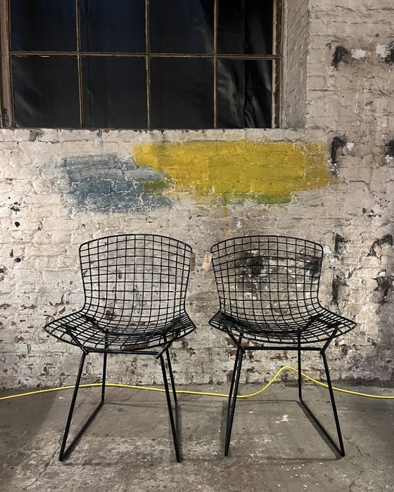 Image 1 of 2 zwarte wire chairs van Bertoia voor Knoll