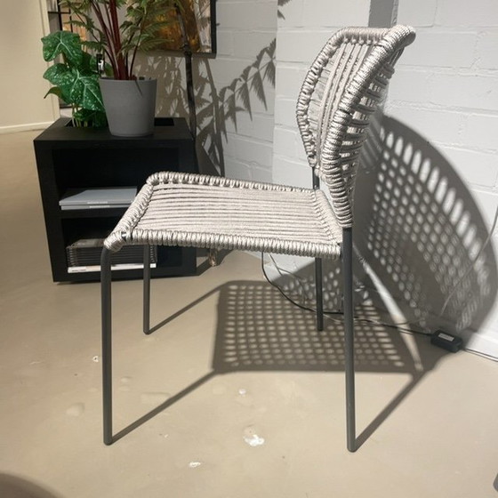 Image 1 of Sedia da pranzo Tonon Cordoba