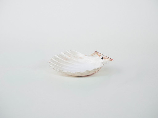 Coquillage décoratif, style bohème, années 1980