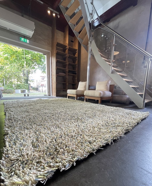 Brink and Campman Carpet Young 068107 200 x 280 New