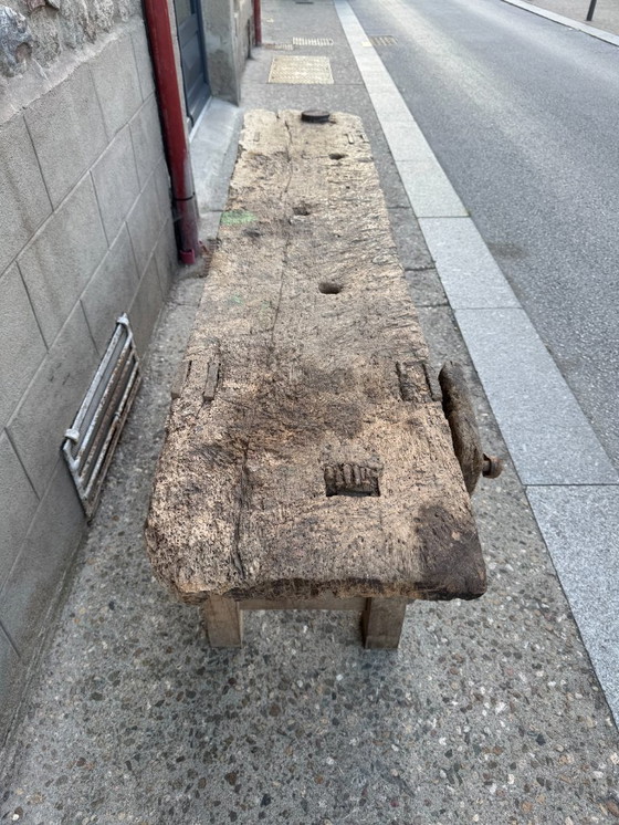 Image 1 of Established