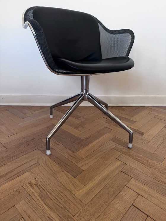 6x sedia IUTA di BB Italia – B&B Italia, Sedie da pranzo, Pelle, Metallo (photo 7 of 7)