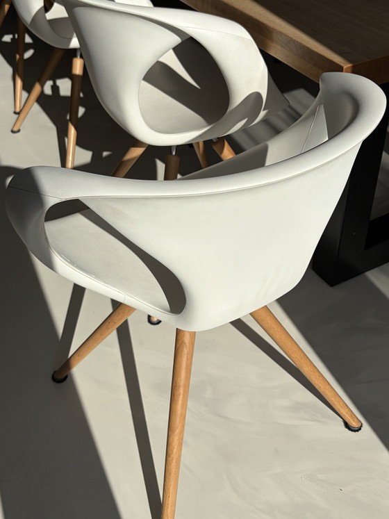 Image 1 of 8 sillas de comedor de diseño Tonon fabricadas en Italia