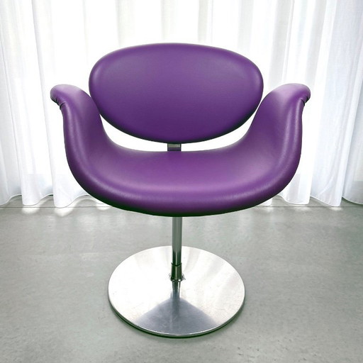 Little Tulip by Pierre Paulin for Artifort