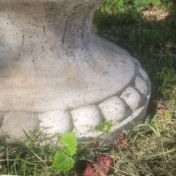 Image 1 of Vazen Medicis Zeer Groot Paar