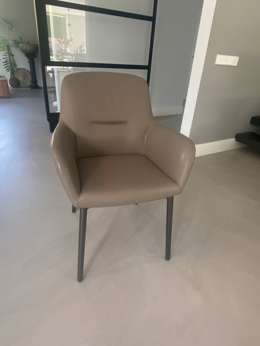 Minotti Flavin dining chair 4x
