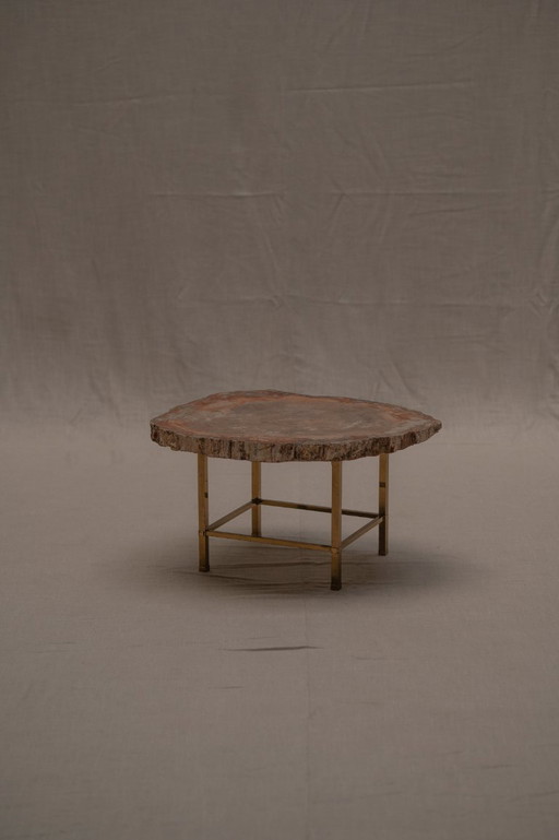 Rare petrified wood coffee table - 1970s