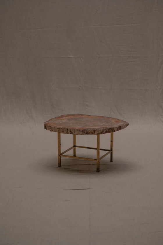 Image 1 of Table basse rare en bois pétrifié - années 1970