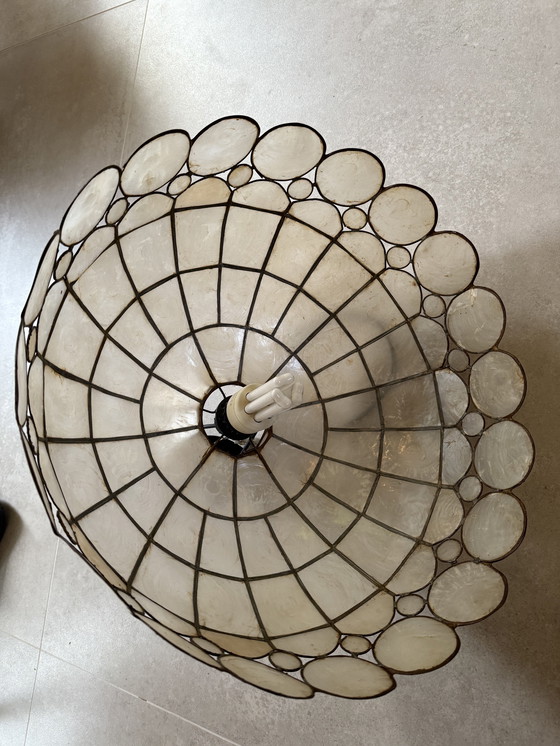 Image 1 of Lampada Tiffany Shell / Shell