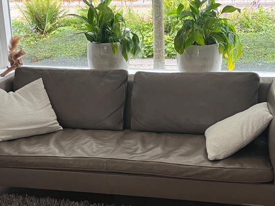 Image 1 of Molinari Modelo Aspen, Color Hígado 2017