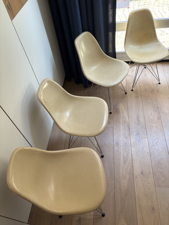 Image 1 of 4 chaises d'appoint en fibre de verre Eames Miller Vitra DSR – parchemin