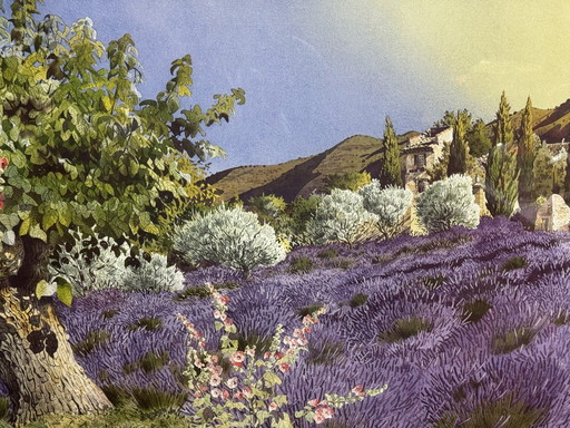 'Campi di lavanda in Provenza' di D. Broussie, serigrafia, Francia, fine del XX secolo