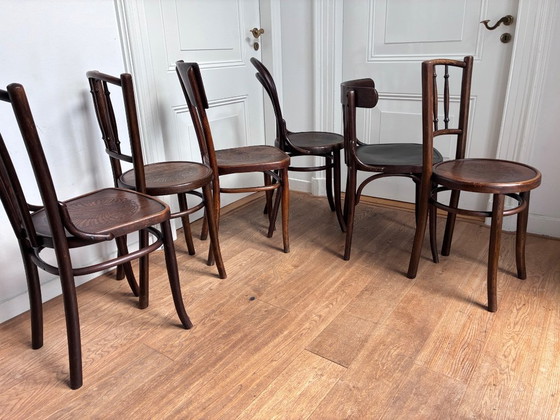 set of 6 mix-match Thonet style chairs – Dining chairs, Wood (photo 4 of 17)