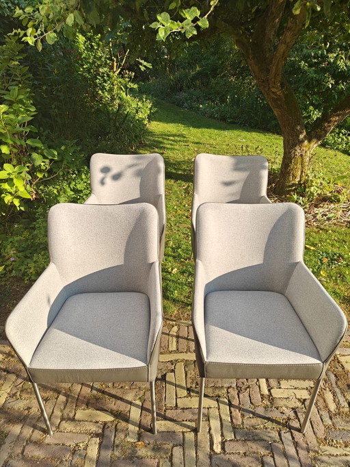 4 Chaises de salle à manger Spargo de Bert Plantagie