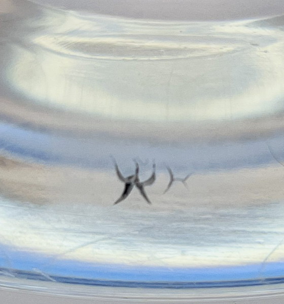 Image 1 of Rare millésime suédois- Bertil Vallien - IKAROS- grand bol des années 1960