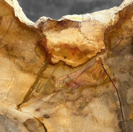 Image 1 of Bois fossilisé de Sooka, fabrication sur mesure standard (nouveau)