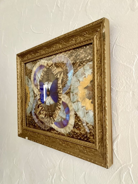 Image 1 of Composizione astratta incorniciata a forma di ali di farfalla